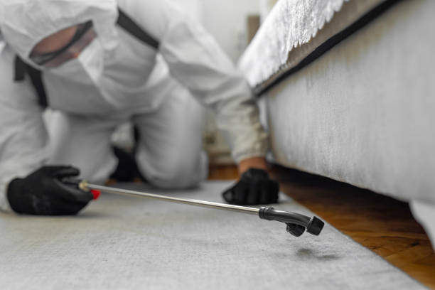 Professional Termite Control technician working in West Park, CA