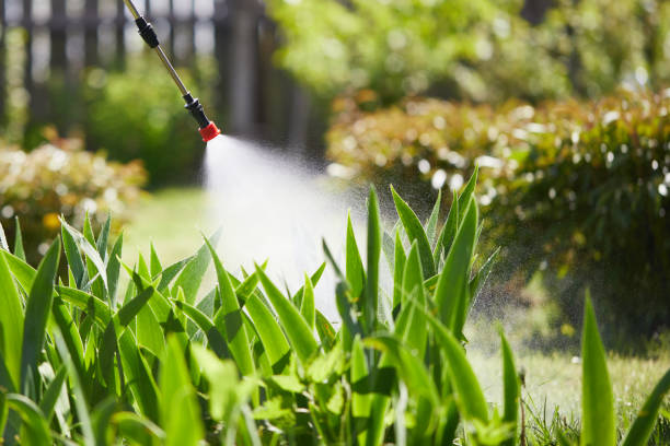 24/7 Emergency Termite Control experts in West Park, CA