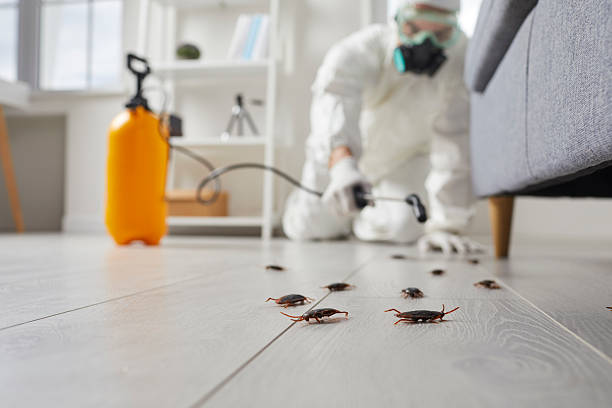 Affordable Termite Control solutions in West Park, CA