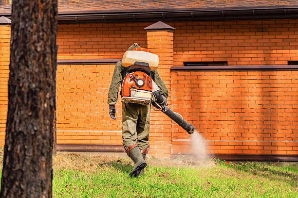 Top rated local Termite Control specialists in West Park, CA
